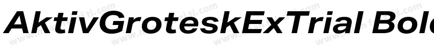 AktivGroteskExTrial Bold字体转换